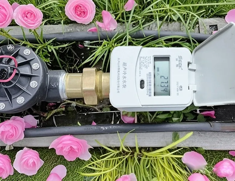 杭州“頂流”驚艷全國，山科如何守護(hù)城市“空中花廊”